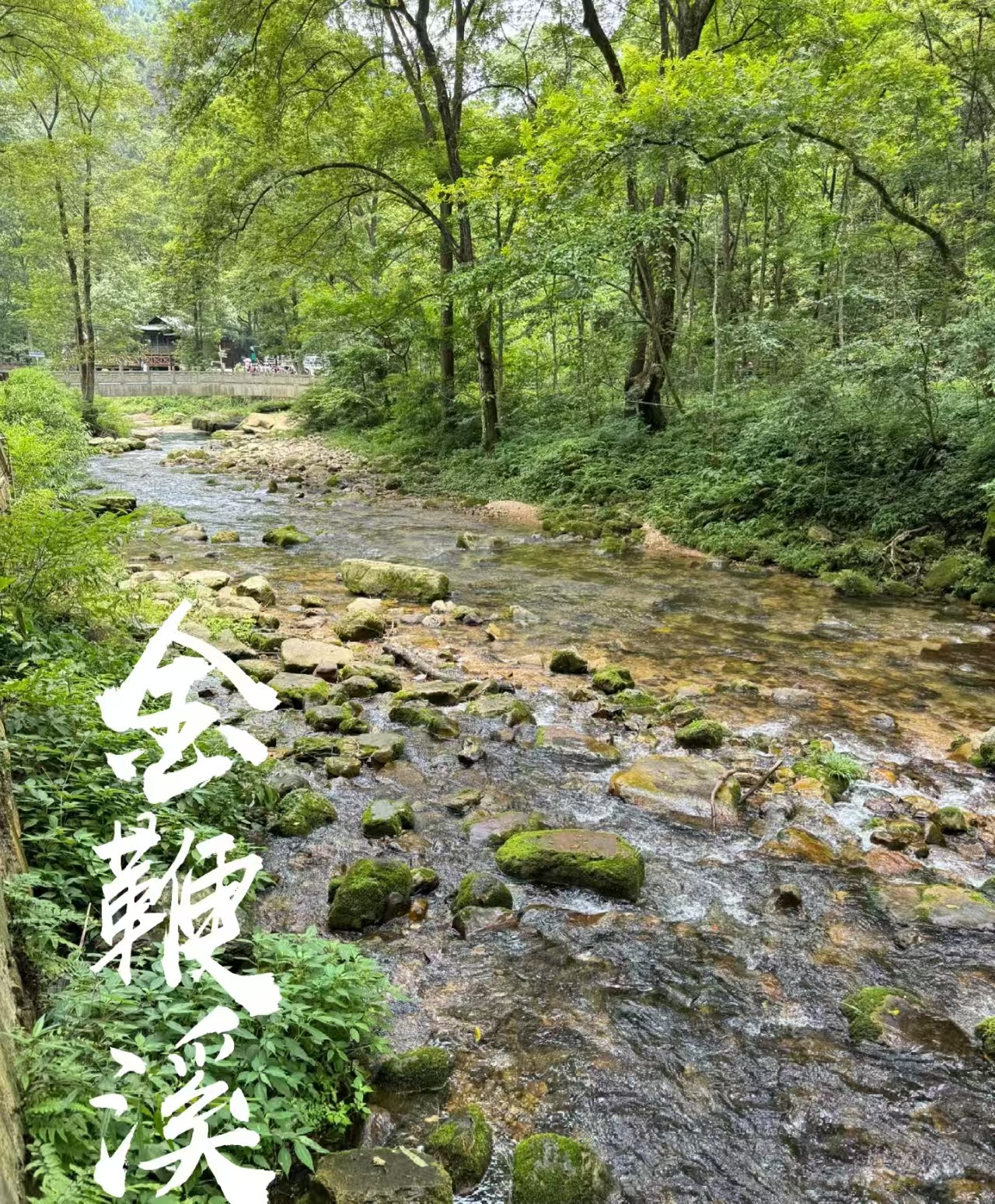25041717164159918.jpg