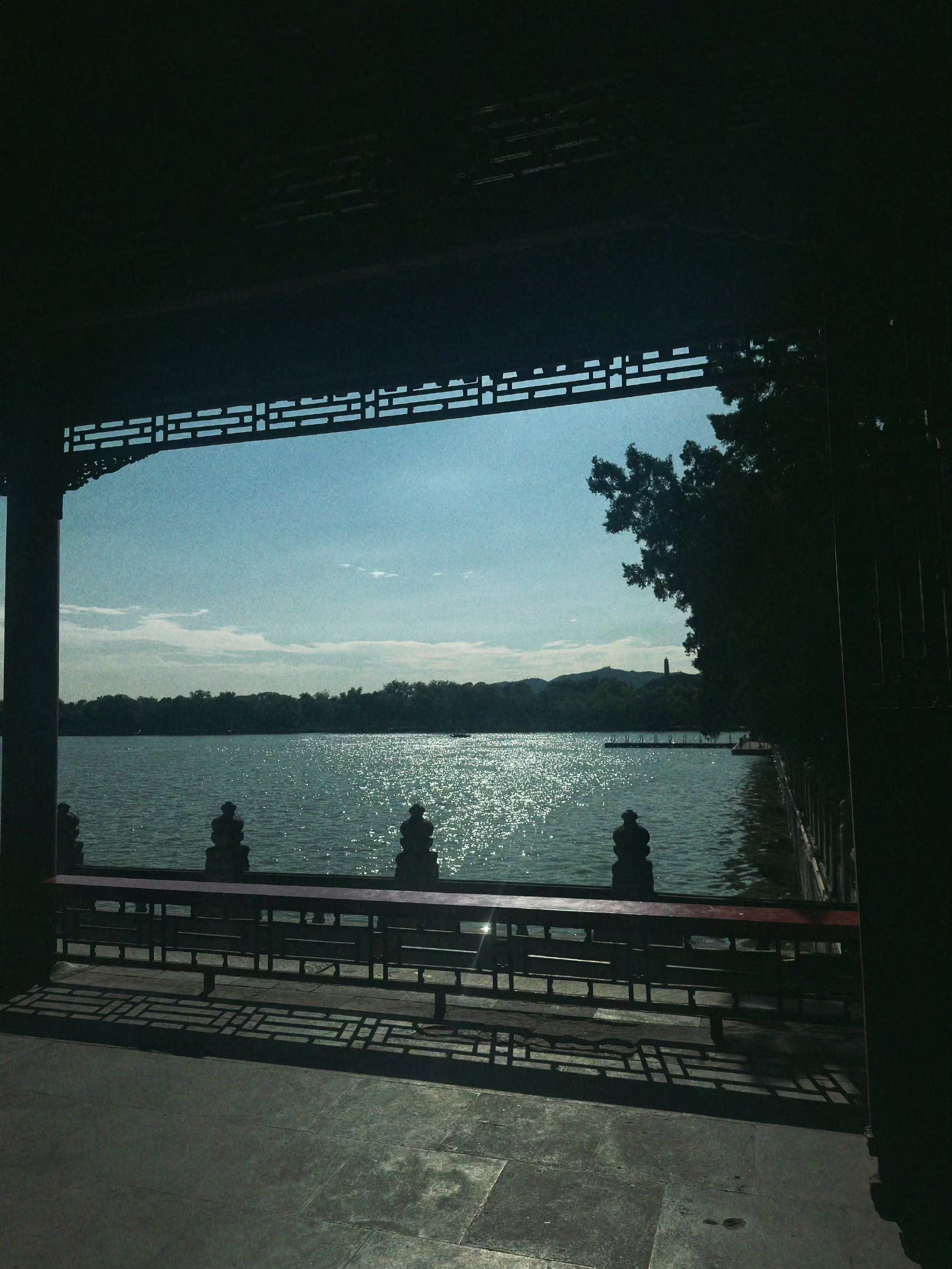 25060313161163636.jpg